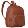 Lisa" Dames Rugzak Leer Middelgroot Met Gewatteerd 13 Inch Tabletvak